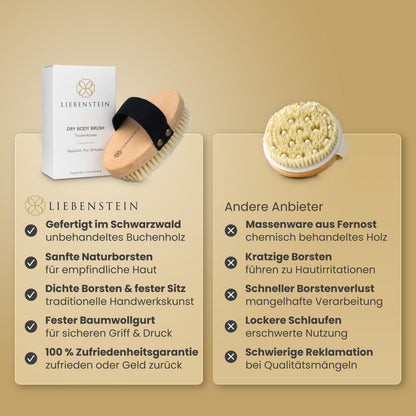Trockenbürste